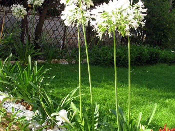 Archisio - Tindara Crisafulli - Progetto In uno scrigno