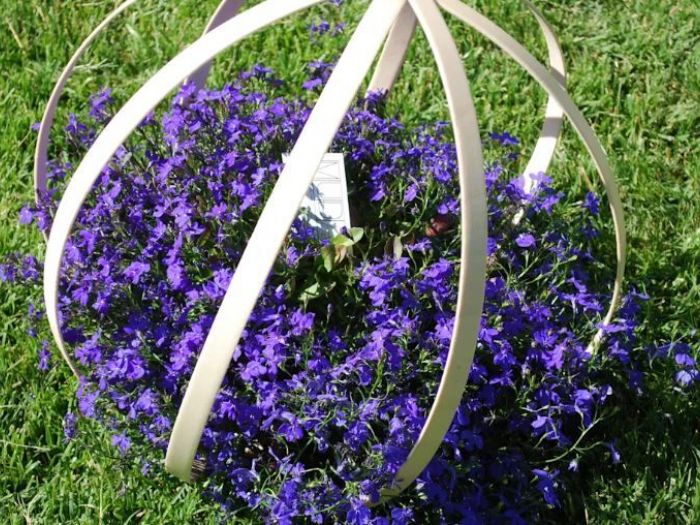 Archisio - Stefania Lorenzini Garden Designer - Progetto Flora globe