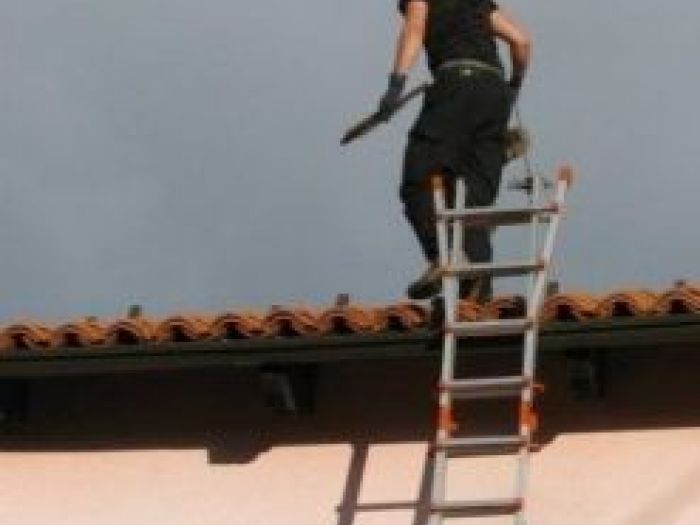 Archisio - Il Fumino - Di Gary Sacchet - Progetto Pulizia canna fumaria