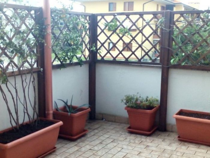 Archisio - Il Marito In Affitto - Progetto Ristrutturazione