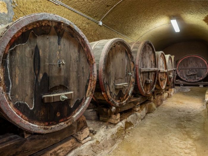 Archisio - Daniele Raffaelli - Progetto Villa estiva