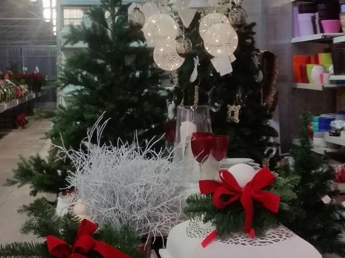 Archisio - Massarroni - Vivai Piante - Garden - Progetto Vivai e piante