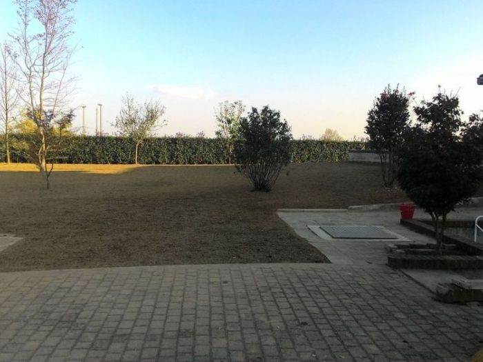 Archisio - Claudio Raiteri Verde Giardino - Progetto Irrigazione rigenerazione pratorigenerazione pratotree climbingisolamento solai