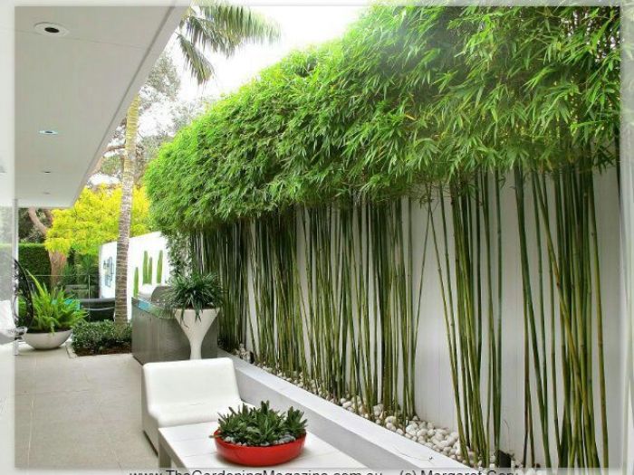 Archisio - Giardiniere Di Verdecchia Danilo - Progetto I nostri lavori