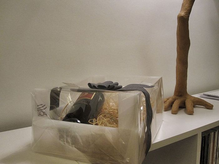 Archisio - Soa Spazio Oltre Larchitettura - Progetto Berry