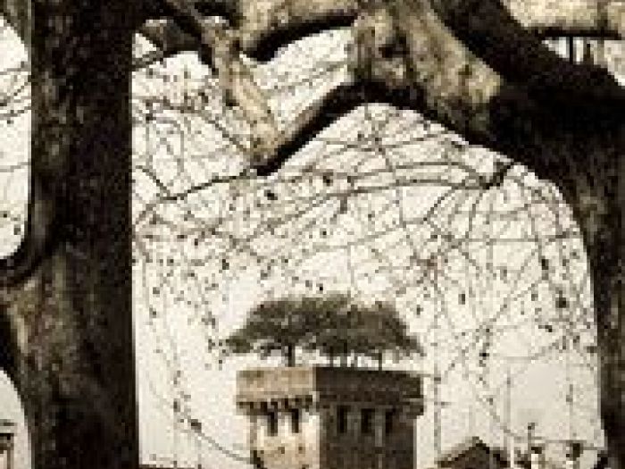 Archisio - Nico Marziali - Progetto Lucca e africa