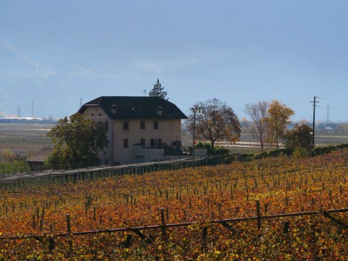 Archisio - Manuel Benedikter - Progetto Brunnenhof