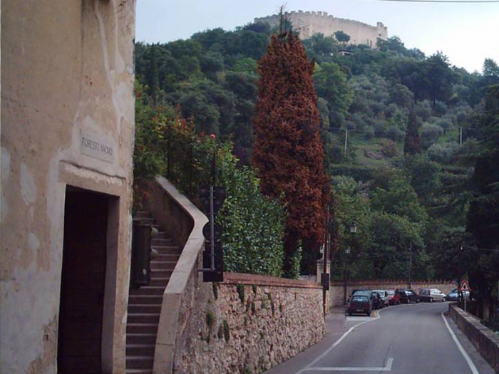 Archisio - Davide Stona - Progetto Mostra fotografica amarcord