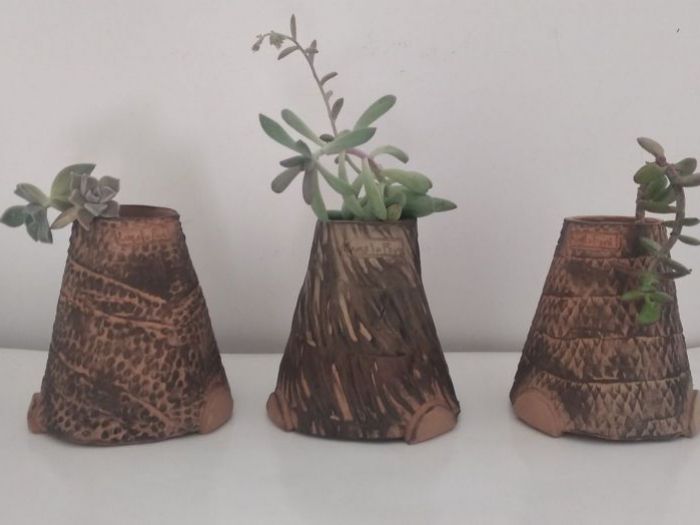 Archisio - Frisart - Progetto Collezioni