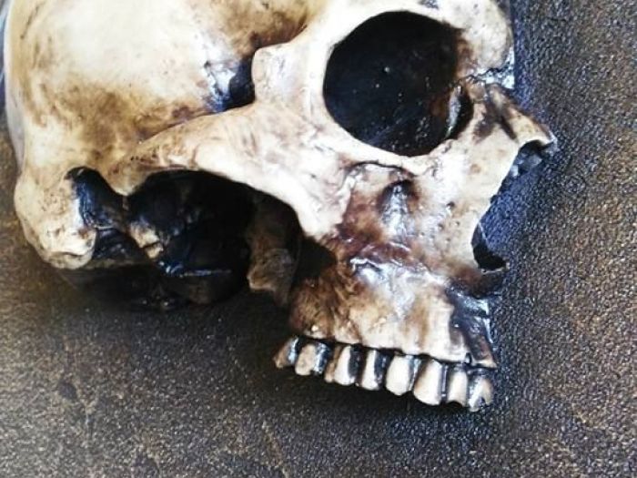 Archisio - Edodesign - Progetto Skull kustom tattoo