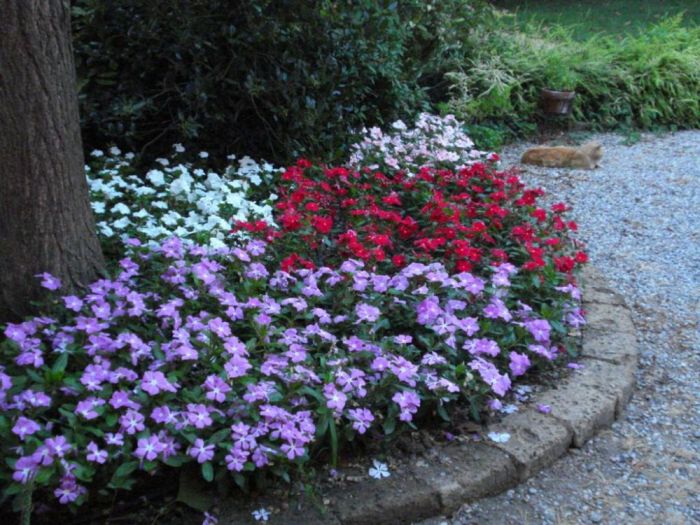 Archisio - Vivai Preti - Progetto Giardino a rami