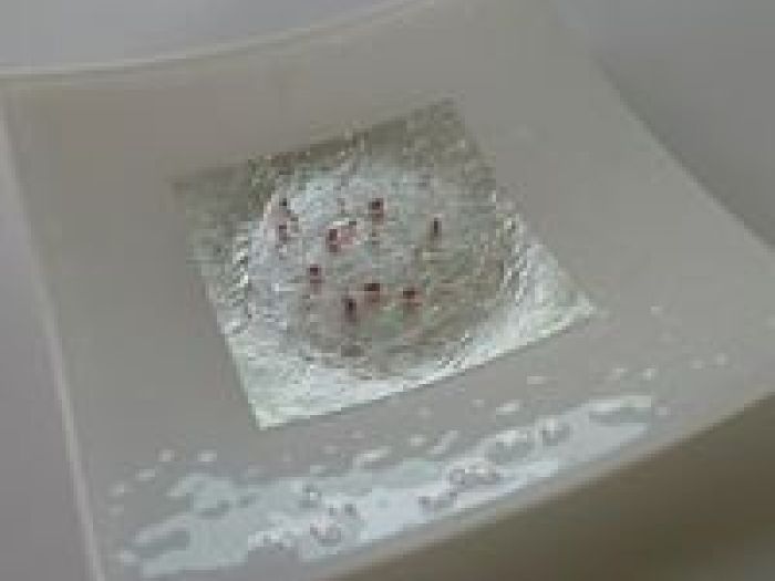 Archisio - Vetreria Ballarini - Progetto Decorazioni in vetro