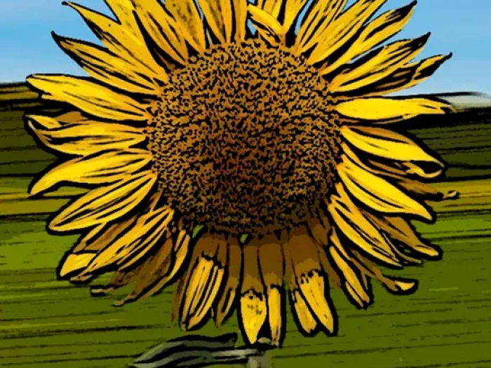 Archisio - Digital Art E Fotografia Dinterni Architettura - Progetto Immagini