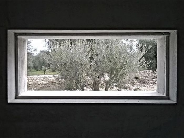 Archisio - Domenico Pastore - Progetto Ulivo intagliato