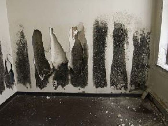 Archisio - Edilbaiardi - Progetto Umidita in casa e conseguenze