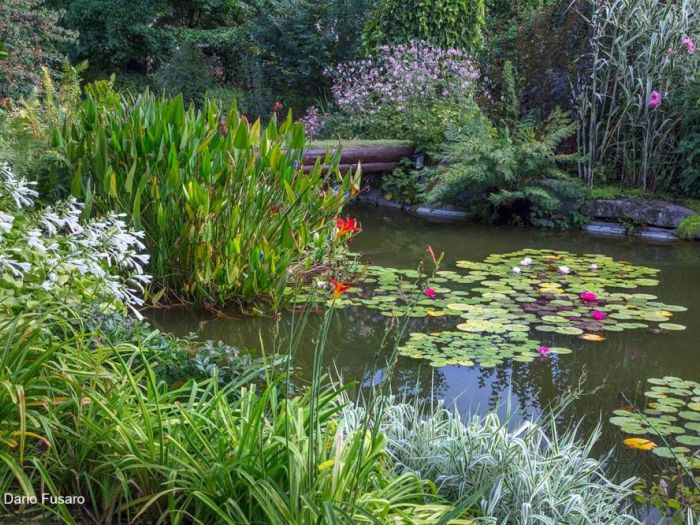 Archisio - Dario Fusaro Garden Photography - Progetto Fiori