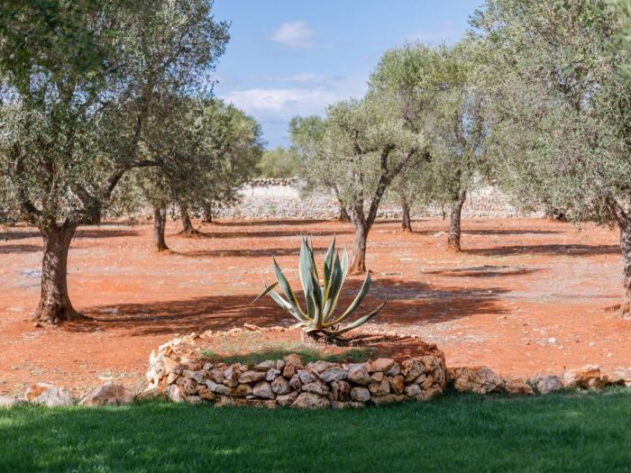 Archisio - Edi Solari Fotografa Di Interni E Architettura - Progetto Servizio fotografico per una masseria in puglia