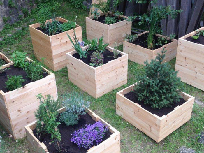 Archisio - Davide Stona - Progetto Installazione temporanea per hortus sanitatis