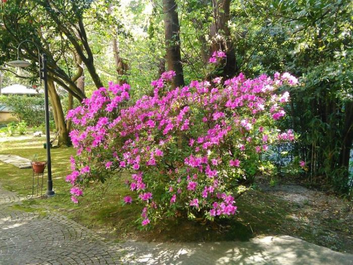 Archisio - Gea Gardening - Progetto Gea gardening