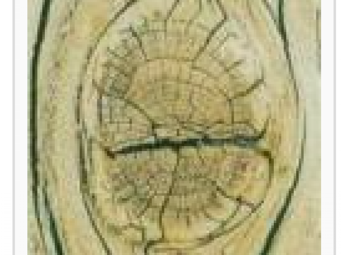 Archisio - Falgnameria Caccia E Carrara - Progetto Vernici