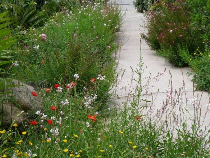 Archisio - Gardenstudio - Progetto Progetto giardino