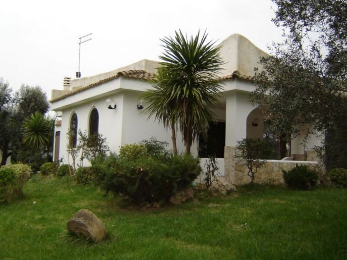 Archisio - Cosimo Mai - Progetto Progetti