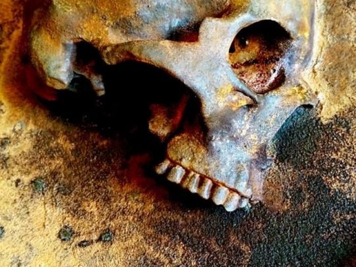 Archisio - Edodesign - Progetto Skull kustom tattoo