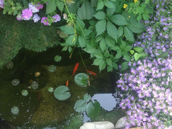 Archisio - Dario Castellino - Progetto Spazi esterni