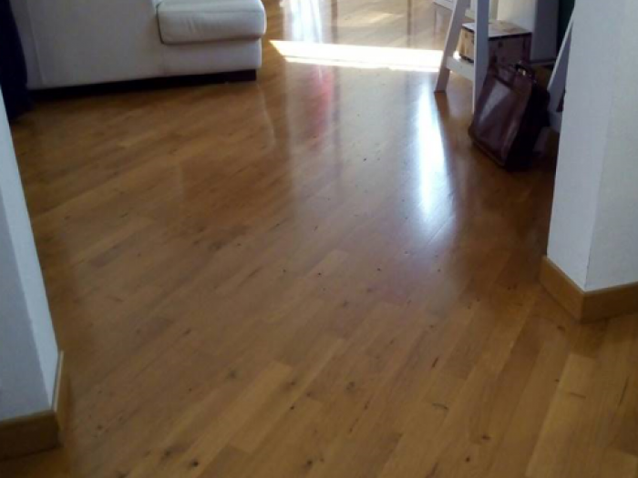 Archisio - Agenzia Immobiliare Di Alice Fabbri - Progetto Appartamento centro forli