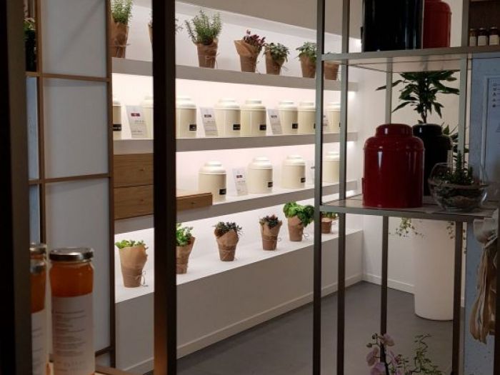 Archisio - Studio Ics - Progetto Farmacia alimentare