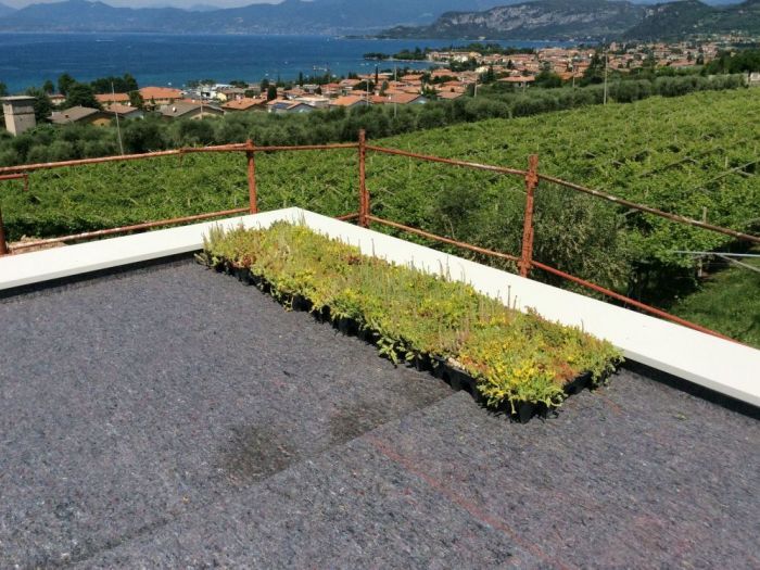 Archisio - Protego srl - Progetto Villa panoramica con tetto in soluzione giardino a basso spessore