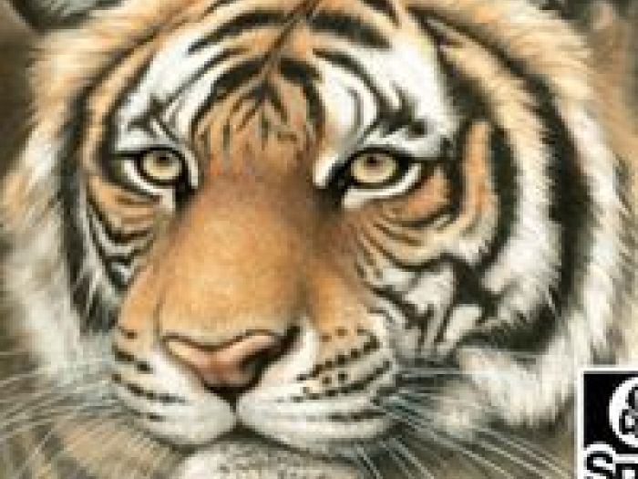 Archisio - Abilityart Larte Diversamente Abile - Progetto Alcune riproduzioni su tela incorniciate