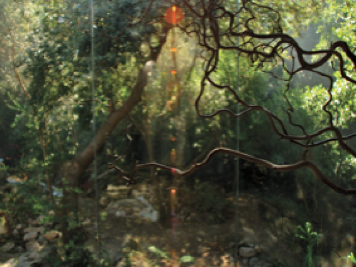 Archisio - Caterina Esposito - Progetto Recupero eristrutturazione di un antico cellaio di 250 mqimmerso in un bosco privato