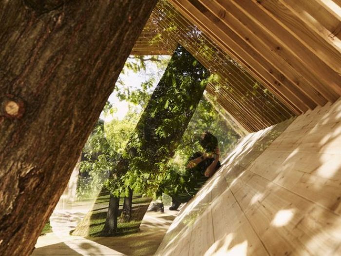 Archisio - Caf Meticcio Studio Dedign - Progetto Casa sullalbero