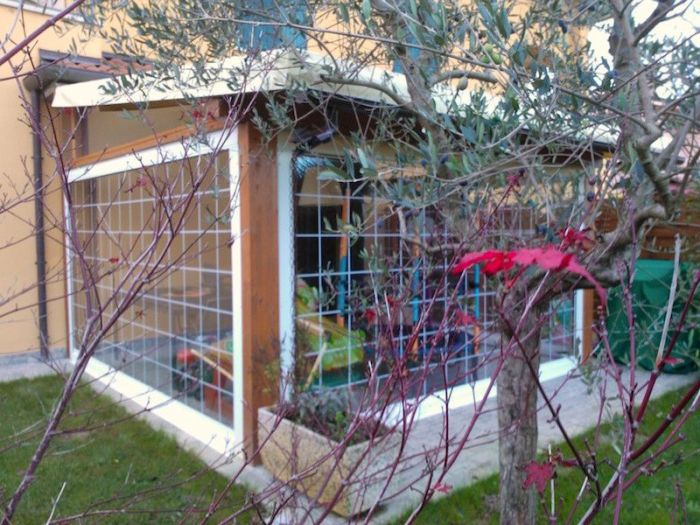 Archisio - Vz Strutture In Legno - Progetto Pergolato addossato in legno di abete lamellare con tende