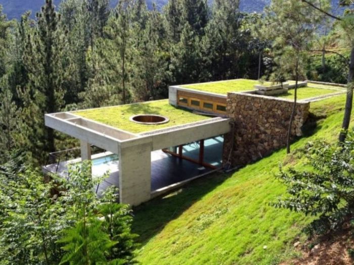 Archisio - Beppino Di Giusto - Progetto Tetti verdi e orti urbani