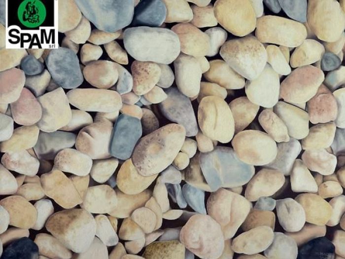 Archisio - Abilityart Larte Diversamente Abile - Progetto Riproduzioni su tela 58-85