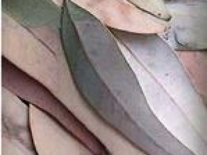 Archisio - Dn Associati Interior Design Studio - Progetto Progetto