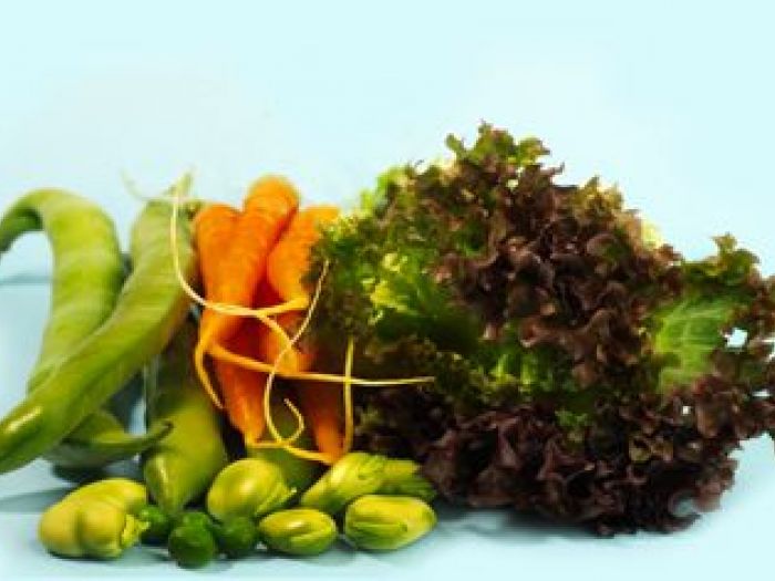 Archisio - Condiviso Coop - Progetto Servizi fotografici