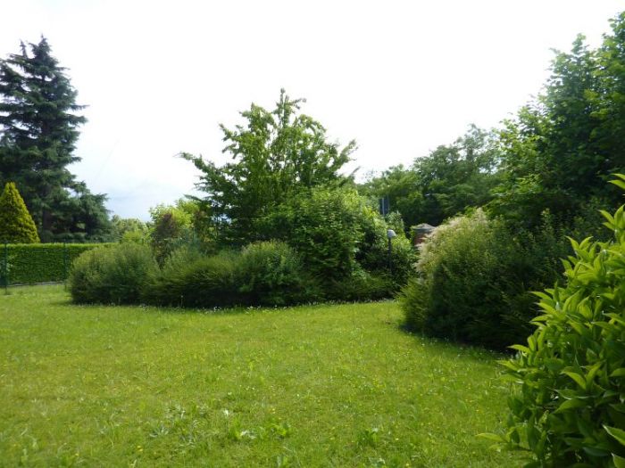 Archisio - Elisabetta Fermani - Progetto Giardino alzheimer