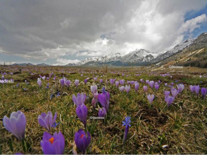 Archisio - Puntofoto Multimedia - Progetto Servizi fotografici