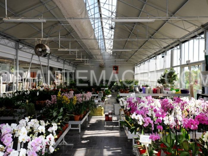 Archisio - Piante Macri - Progetto Il garden