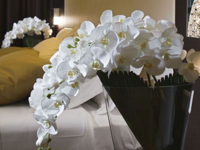 Archisio - Jupiter International srl - Progetto Set arrangement - composizioni floreali