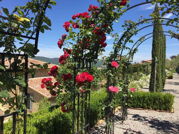 Archisio - Daniele Spitaleri Architetto E Garden Designer - Progetto Giardino podere polino