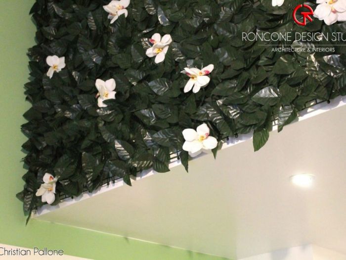 Archisio - Roncone Design Studio - Progetto Domus naturae