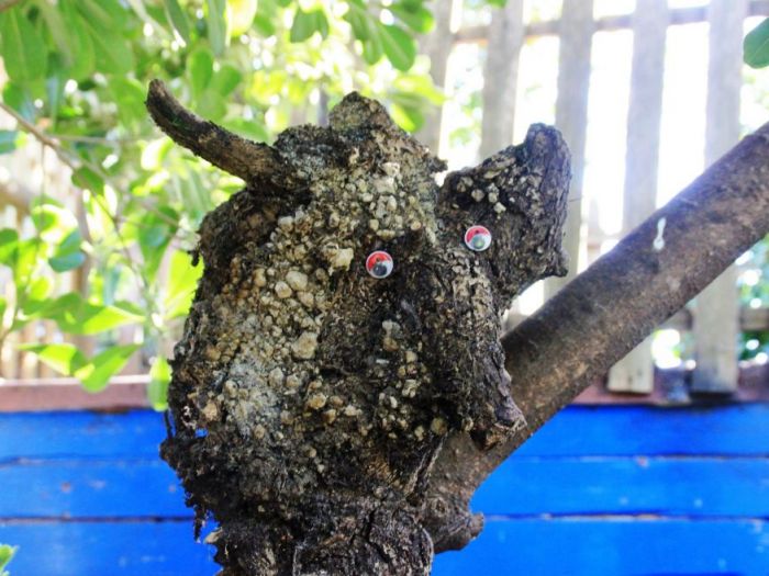 Archisio - Luca Righetto - Progetto Progettazione giardini varese busto arsizio Scompigliate seduzioni