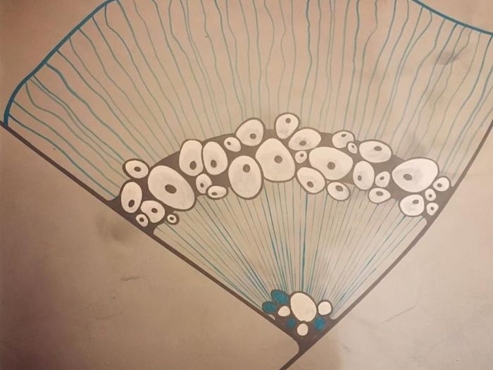 Archisio - Manipolabo - Progetto Soluzioni creative