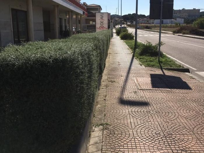 Archisio - Rocca Di Mezzo Srls - Progetto Siepi