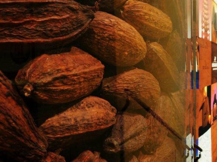 Archisio - Carmela Fasano Photographer - Progetto Historical museum chocolates school perugina