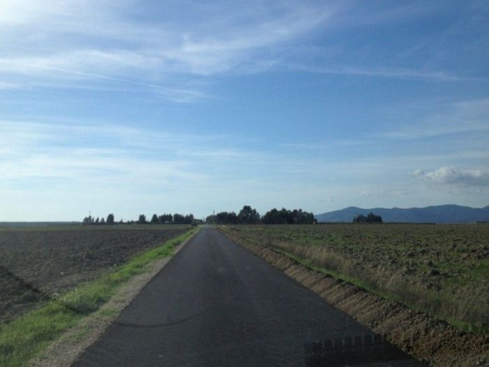 Archisio - Fgs Project Stp Sas - Progetto Strada barbaruta 1